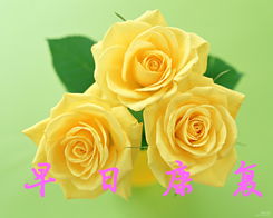 黄玫瑰可以送给恋人吗  黄玫瑰，一份特别的爱情信物，送给恋人的选择--第1张