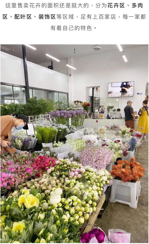 宝丰县花店  宝丰县花店，传递爱与美的使者--第1张
