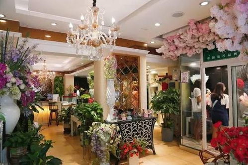 郑州鲜花店  郑州鲜花店，郑州本地鲜花店推荐--第1张