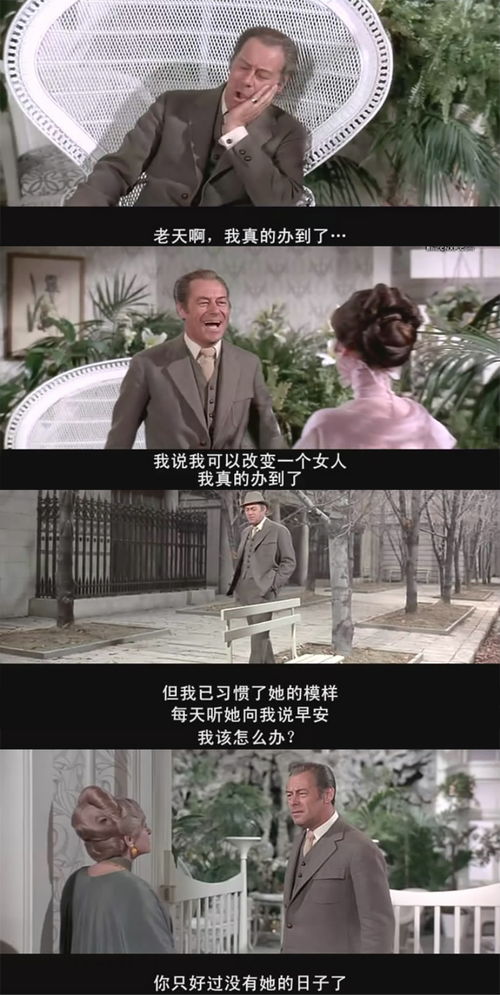 短剧爱在日出前全集观看  短剧爱在日出前全集观看，感受温馨爱情故事--第1张