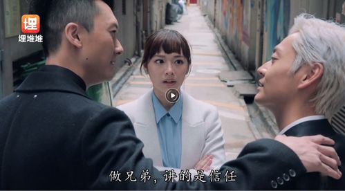 短剧跟乔爷撒个娇全集观看  短剧跟乔爷撒个娇全集观看，带你领略不一样的乔爷撒娇魅力--第1张