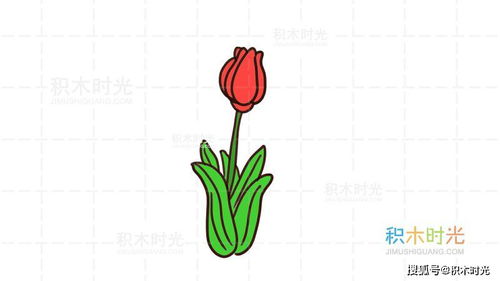郁金香图片简笔画  郁金香图片简笔画教程，郁金香简笔画教程，轻松画出美丽的郁金香图片--第1张