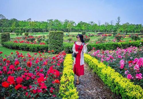 中国花卉园艺师官网  中国花卉园艺师官网——引领花卉园艺新潮流--第1张