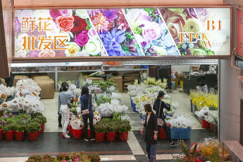 上海鲜花批发市场地址查询  上海鲜花批发市场地址查询--第1张