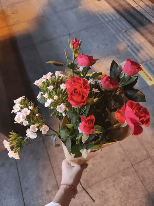 给母亲买花应该买什么花  给母亲买花应该买什么花--第1张