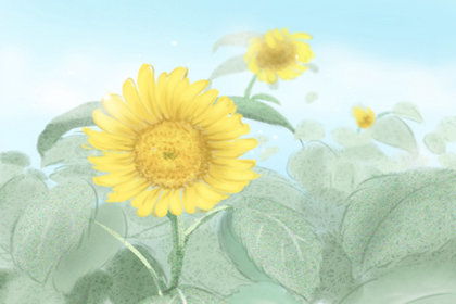 19朵蓝色妖姬的花语  19朵蓝色妖姬的花语--第1张