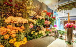 深圳市龙岗区花店  深圳市龙岗区花店，精选花卉，传递爱意--第1张