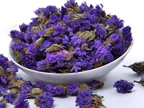 勿忘我花茶的功效与作用及禁忌  勿忘我花茶的功效与作用及禁忌--第1张