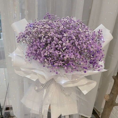 永生满天星的花语  永生满天星的花语，永生满天星的花语，永恒的爱与关怀。--第1张