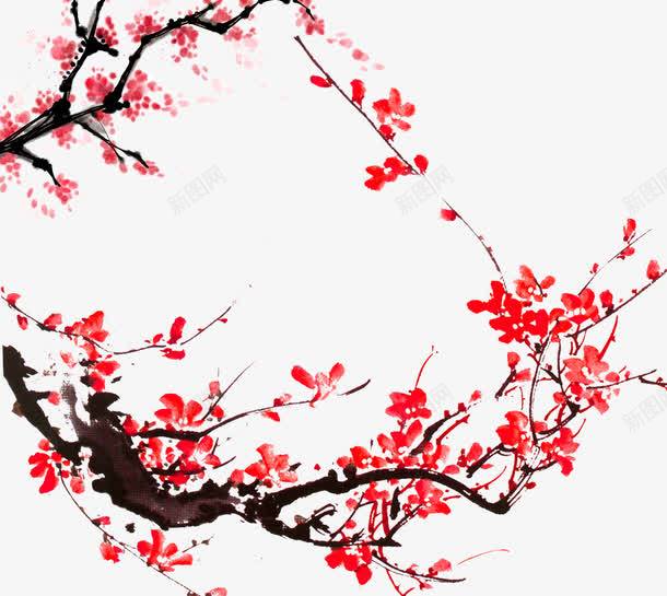 梅花的资料和特点  梅花的资料和特点，梅花的美丽与坚韧，梅花的特点和资料--第1张