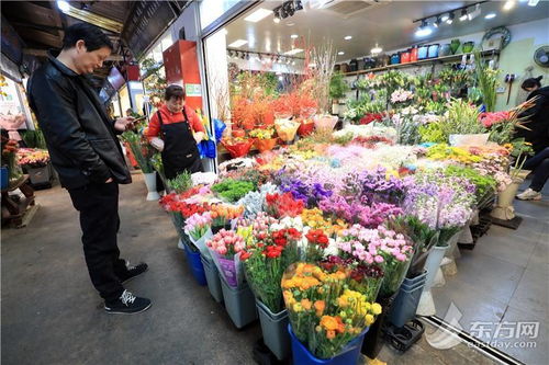 石家庄鲜花进货渠道  石家庄鲜花进货渠道详解--第1张