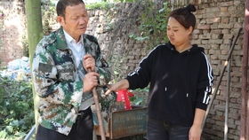 短剧我的夫人会仙术全集观看  短剧我的夫人会仙术全集观看--第1张