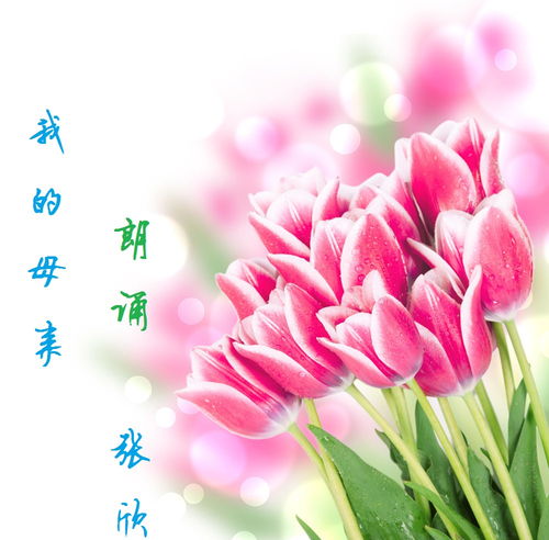 花卉图片大全大图高清  花卉图片大全大图高清--第1张