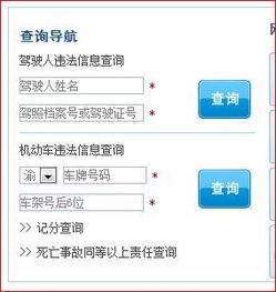 重庆市机动车违章查询_重庆机动车违章查询平台--第1张