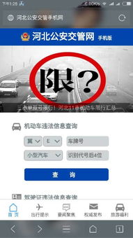 河北公安交通违章查询_河北公安交通违章查询官网--第1张
