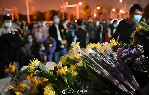 短剧千金归来四个哥哥排队宠全集观看  短剧千金归来四个哥哥排队宠，全集观看，千金归来，四个哥哥的宠爱--第1张
