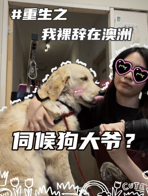 短剧年下狼狗撩得姐姐面红心跳全集观看  短剧年下狼狗撩得姐姐面红心跳全集观看，让你感受甜蜜爱情！--第1张