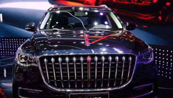 红旗电车suv报价及图片_红旗电动suv2020款报价及图片--第1张