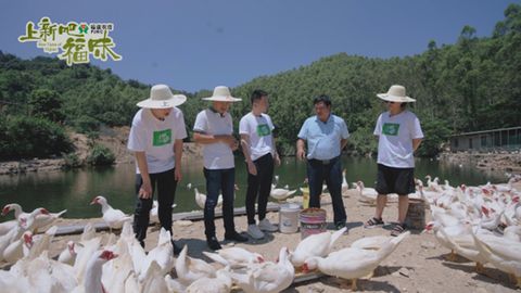 短剧农民神豪全集观看  农民神豪短剧全集，一场乡村生活的华丽变身--第1张