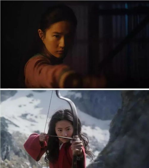 短剧巾帼神豪全集观看  短剧巾帼神豪全集，女性力量，英勇无畏的传奇故事--第1张