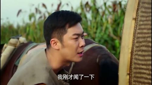 短剧男神爹地快回家全集观看  短剧男神爹地快回家全集观看--第1张