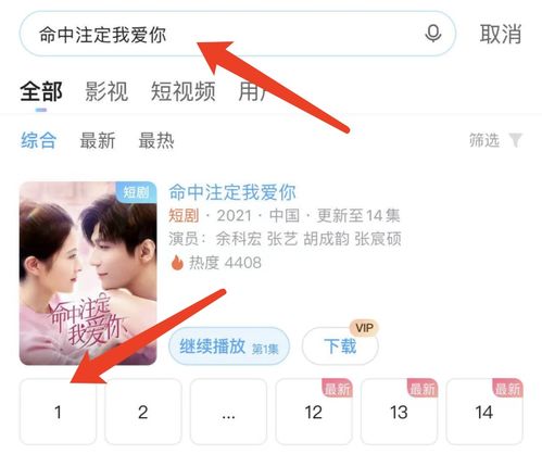 短剧我爱你命中注定全集观看  短剧我爱你命中注定全集观看，短剧我爱你，命中注定全集在线观看，爱情命中注定--第1张