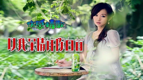短剧且以深情共白首全集观看  深情共白首短剧全集观看，一部感人至深的爱情故事，深情共白首短剧全集在线观看，爱情的力量超越时空--第1张