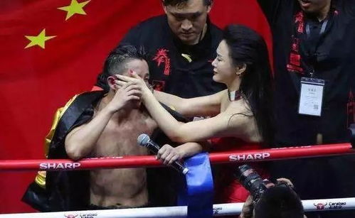 短剧我不是拳王全集观看  短剧我不是拳王全集观看，短剧我不是拳王在线观看--第1张
