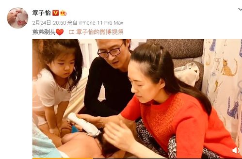 短剧爱不单行离婚冷她三年后霍总膝盖跪穿了全集观看  短剧爱不单行，离婚冷她三年后霍总膝盖跪穿了全集观看，离婚冷后，爱不单行全集，霍总膝盖跪穿--第1张