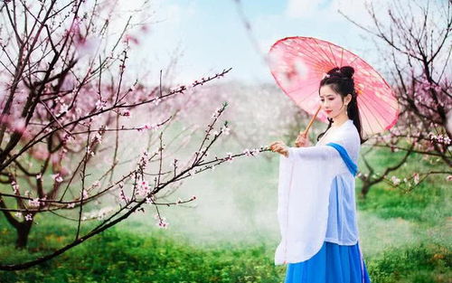 短剧雨落花正开全集观看  短剧雨落花正开全集观看——一部唯美动人的情感故事，短剧雨落花正开全集，唯美动人的情感故事--第1张