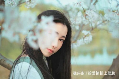 短剧离婚后前妻高攀不起全集观看  离婚后前妻高攀不起，全集观看，离婚后前妻高攀不起全集在线观看，前妻再也不低微了--第1张
