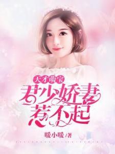 短剧给天才萌宝千金刘兰博等全集观看  短剧给天才萌宝千金刘兰博等全集观看--第1张