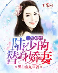 短剧替身新娘陆总的第一宠妻全集观看  短剧替身新娘陆总的第一宠妻全集观看，短剧替身新娘陆总的第一宠妻全集在线观看，替身新娘的甜蜜爱情之旅--第1张