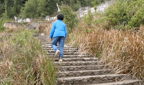 短剧沈总别虐了她好像是你妹妹全集观看  短剧沈总别虐了她好像是你妹妹全集观看，沈总别虐了她好像是你妹妹全集免费观看--第1张