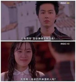 短剧如果爱有天意全集观看  如果爱有天意全集观看，如果爱有天意，全集在线观看--第1张