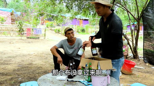 短剧得罪老板后他惩罚我做他新娘全集观看  短剧得罪老板后他惩罚我做他新娘全集观看--第1张