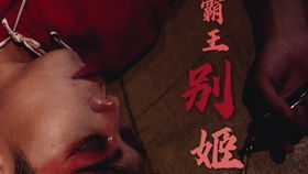 短剧霸王全集观看  短剧霸王全集观看--第1张