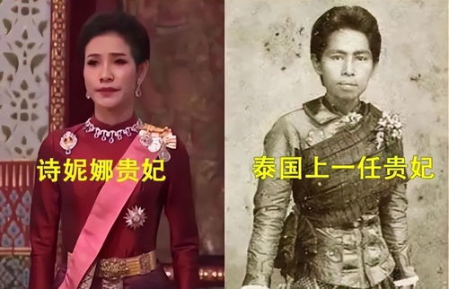 短剧贴身女侍卫的契约婚姻全集观看  短剧贴身女侍卫的契约婚姻全集观看，贴身女侍卫的契约婚姻全集--第1张