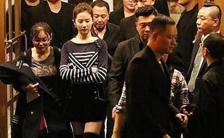 短剧顶流明星的贴身保镖全集观看  短剧顶流明星的贴身保镖全集观看，短剧顶流明星的贴身保镖全集，明星保镖的秘密守护--第1张