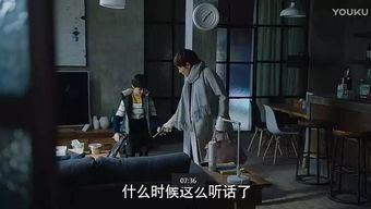 短剧重启逆袭人生全集观看  短剧重启逆袭人生全集观看，短剧重启逆袭人生全集免费观看--第1张