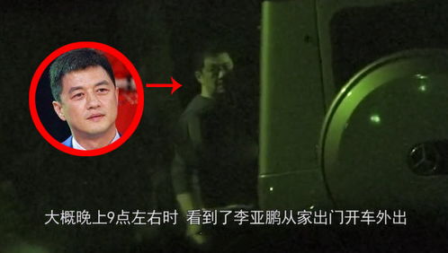 短剧L临夜传全集观看  短剧L临夜传全集观看，L临夜传，全集观看--第1张
