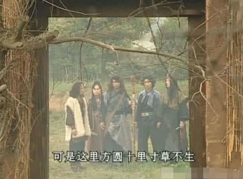 短剧娘娘出征寸草不生全集观看  短剧娘娘出征寸草不生全集观看，娘娘出征，寸草不生全集观看--第1张