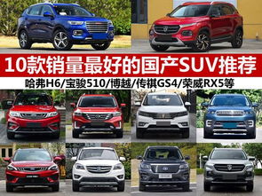 国产suv排行榜前十名图片_国产suv排行榜前十名图片高清--第1张
