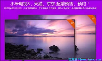 重返决战互联网免费全集资讯  重返决战互联网，免费全集资讯--第1张