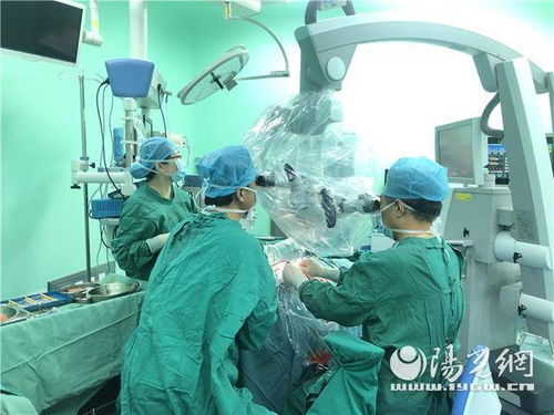 替嫁后我成了大佬的白月光免费全集资讯  替嫁后我成了大佬的白月光免费全集资讯，替嫁后我成了大佬的白月光免费全集阅读--第1张