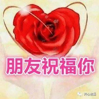 再见祝你幸福免费全集资讯  再见，祝你幸福--第1张