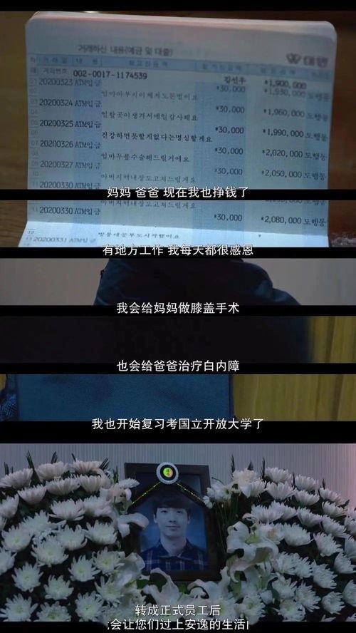 绝对倾心免费全集资讯  绝对倾心，免费全集资讯--第1张
