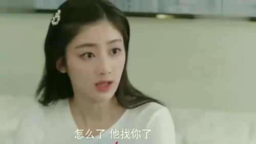离婚后四大美女倒追我免费全集资讯  ，离婚后四大美女倒追我免费全集资讯，离婚后四大美女倒追我，离婚后的生活与情感纠葛--第1张