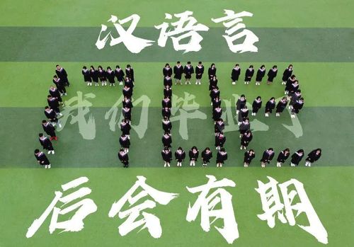 新版再见免费全集资讯  新版再见免费全集资讯，新版再见全集免费资讯更新时间及观看平台--第1张