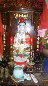 我和财神有个约定免费全集资讯  [文章标题]，我和财神有个约定，财富降临的秘密--第1张